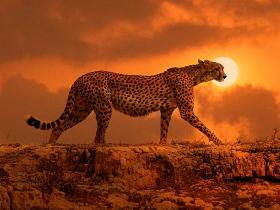 禅卡学习实录:《禅卡让我要坦然无惧》