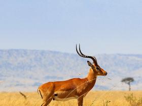 禅卡学习实录:《通过禅卡,我们得到了正确的指引》