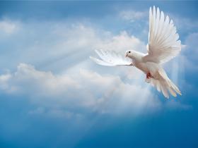 禅卡学习实录:《这张禅卡让我的心好安静》