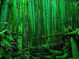 关于人间灵性体验的三篇心灵札记