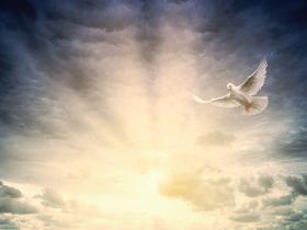 中国第一本人人可用的正念祈祷作品:《神奇的祈祷》包含了哪些精彩的祈祷文?