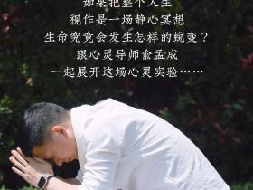 冥想实验,臣服于心